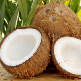 COCO ACEITE VIRGEN (cocos nucifera) (232)