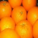 NARANJA DULCE ACEITE 5X (citrus sinensis dulcis) (203)