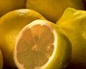 LIMON TERPENOS (citrus limonum) (13)