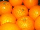 NARANJA DULCE TERPENOS (citrus sinensis dulcis) (15)